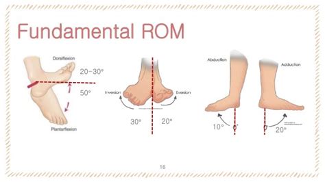 5 Quick Physio Tests For Ankle Injury Recovery