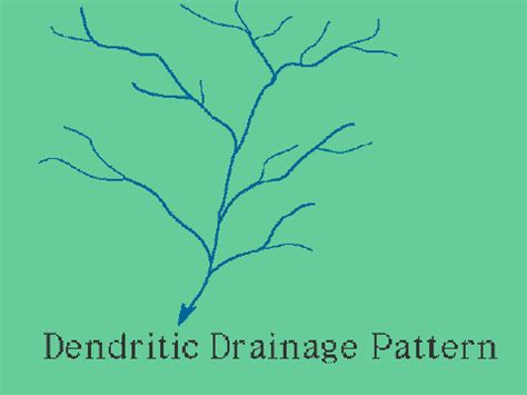 Dendritic Drainage Pattern