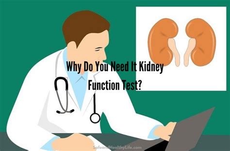 Why Do You Need It Kidney Function Test? | SHL