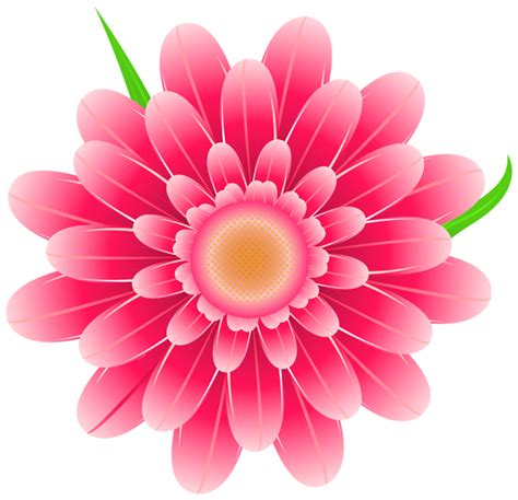 Transparent Pink Flower Clipart PNG Image | Flower images free, Flower illustration, Flower images