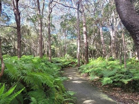 Tweed Heads Historic Site | NSW Government