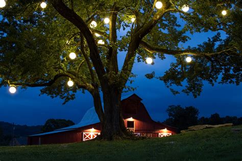 Top 15 of Outdoor Hanging Lights for Trees