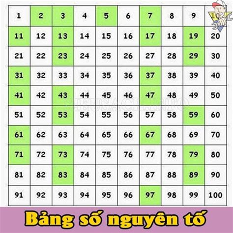 Số nguyên tố là gì? Những thông tin chi tiết mà bạn chưa biết