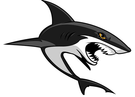 Shark Logo, Shark Art, Logo Design, Graphic Design, Shark Bites, Sports Logo, Sharks, Whale, Laser