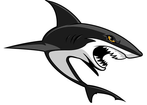 Shark Logo, Shark Art, Logo Design, Graphic Design, Shark Bites, Sports ...