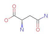 Asparagine - Asn - structure, function, supplement, food sources