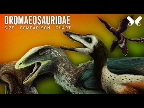 dromaeosauridae on Tumblr