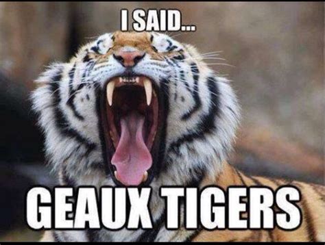 Geaux Tigers | Lsu tigers football, Lsu football, Geaux tigers