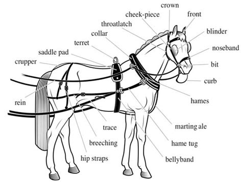 Harness & Saddle Making