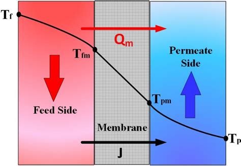 Schematic diagram of heat transfer process occurs through SDCMDS ...