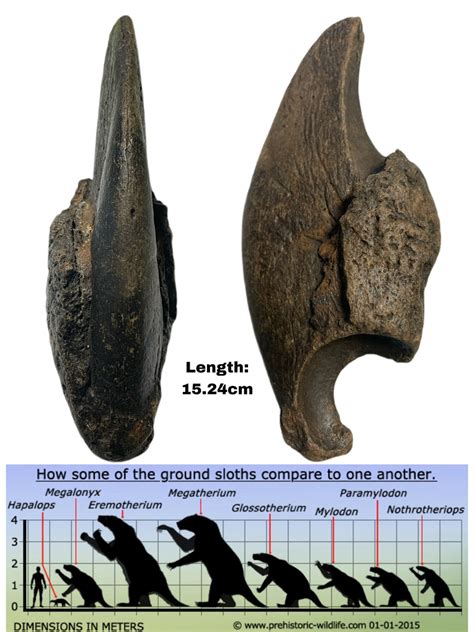 MDEQ on Twitter: "Check out today's #fossilFriday and learn about the lost world of the gentle ...