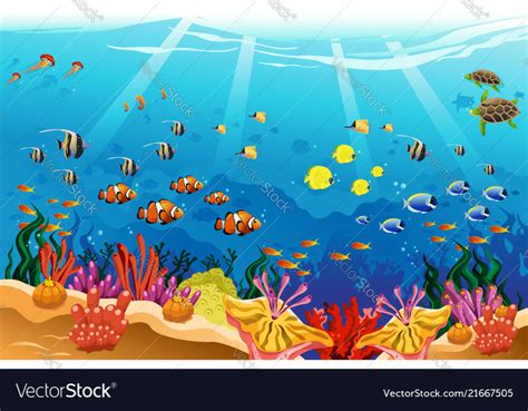 Download High Quality ocean clipart underwater Transparent PNG Images - Art Prim clip arts 2019