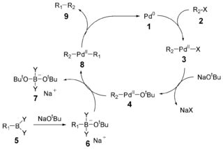 All About Organic Chemistry: Suzuki Reaction