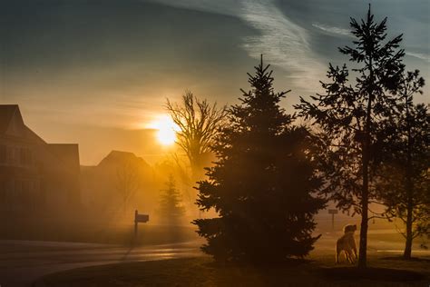 Foggy Morning Sunrise | Captured in the early morning. The d… | Flickr