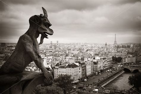 Paris rooftop view – Songquan Photography