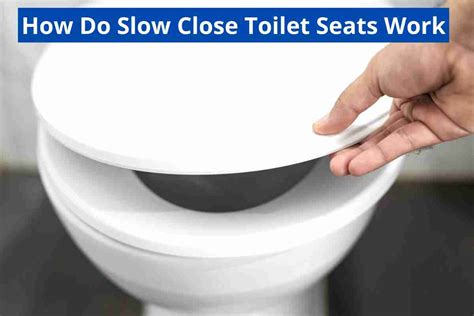 How Do Soft Close Toilet Seats Work(Hinges Close Slowly)2024