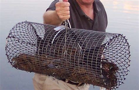 Best Crawfish Traps | A Listly List