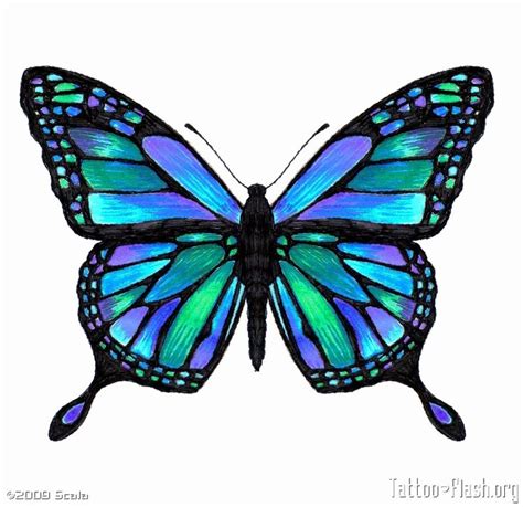 Butterflies To Draw - ClipArt Best