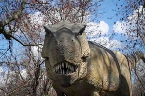 What Does It Take to Create the Bronx Zoo’s Animatronic Dinosaur Displays? The Artist Behind ...