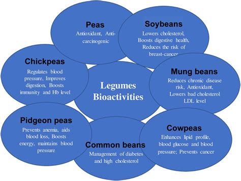 What is a Legume - Are Legumes Good For Health and Weight Loss?