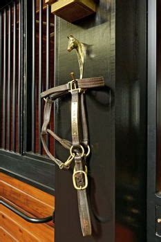 Horse bridle hook featured at each stall (hung from cheek pieces) | Horse barns, Equestrian ...