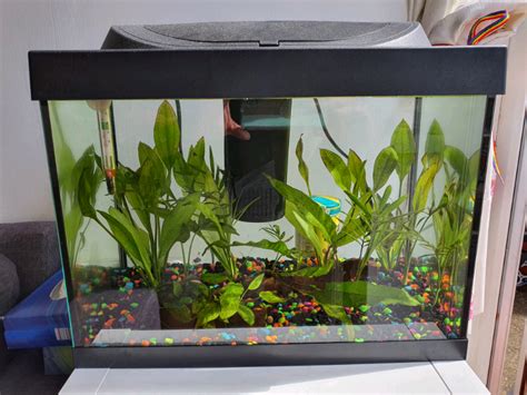 Tetra fish tank 30L | in Blackheath, London | Gumtree