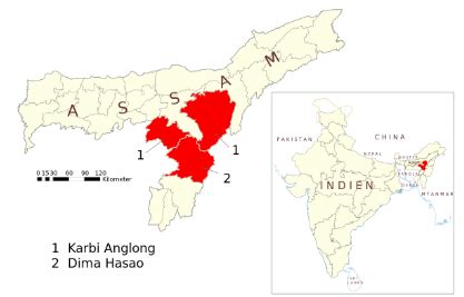 What is the history of Militancy in Dima Hasao Region?