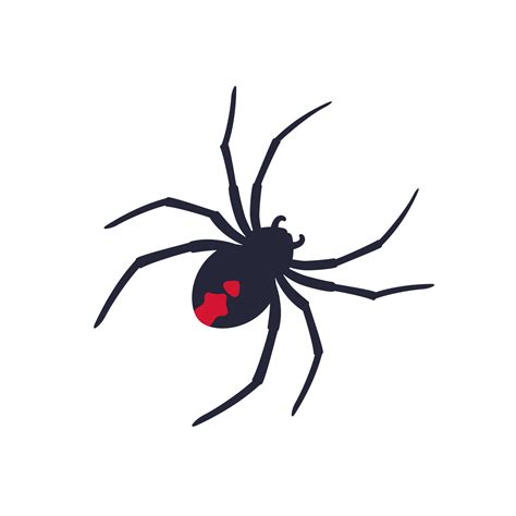 Red back spider on white, vector 4511305 Vector Art at Vecteezy