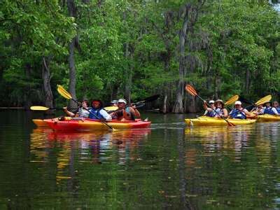 Things to Do In Charleston SC | Tours & Attractions in Charleston