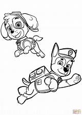 Skye Paw Patrol Coloring Pages At GetColoringscom  Free Printable sketch template