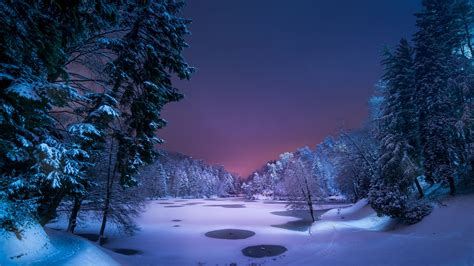 Snowy Forest at Night Wallpapers - Top Free Snowy Forest at Night Backgrounds - WallpaperAccess