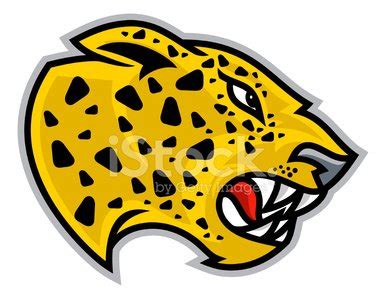 Jaguar Cheetah Head Stock Clipart | Royalty-Free | FreeImages