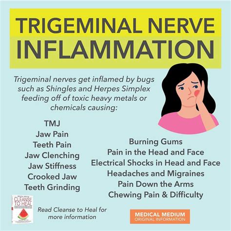 Medical Medium® on Instagram: “Trigeminal Nerve Inflammation The trigeminal nerves are cranial ...