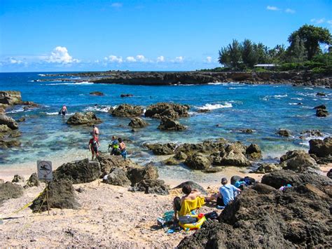 Sharks Cove: The Best Place To Dive And Snorkel On Oahu – DesertDivers