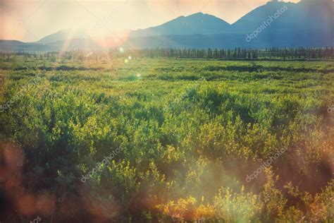 Polar tundra landscapes Stock Photo by ©kamchatka 95612554