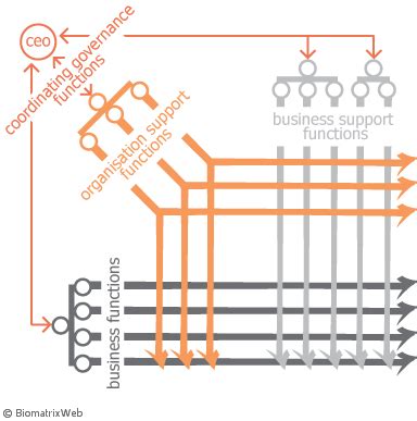 matrix organisational structure