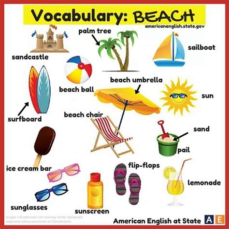 Vocabulary: beach