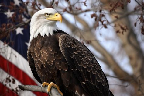 Premium Photo | A bald eagle perched on a tree branch with an american flag in the backgroun