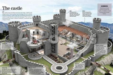 'Infographic About a Medieval Castle Where Kings, Nobles and Lords ...