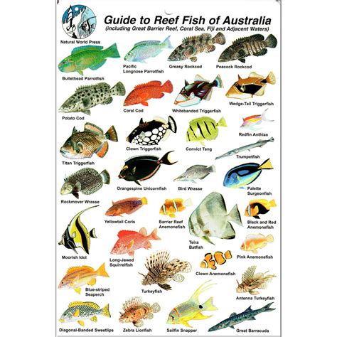 Australian Fish Species Chart