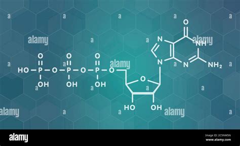 Guanosine triphosphate (GTP) RNA building block molecule. Also used as energy transport molecule ...