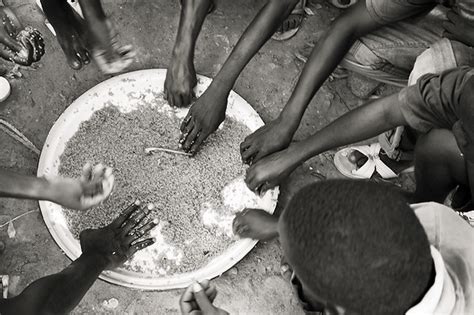 Thiéboudienne | Découvrez le Plat National du Sénégal | Senegalise