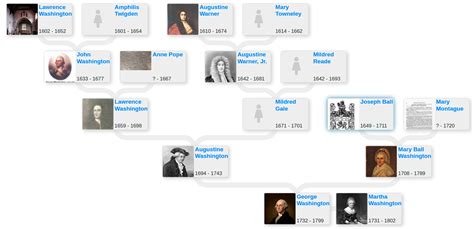 Family tree of George Washington, 1st US President - Blog for Entitree