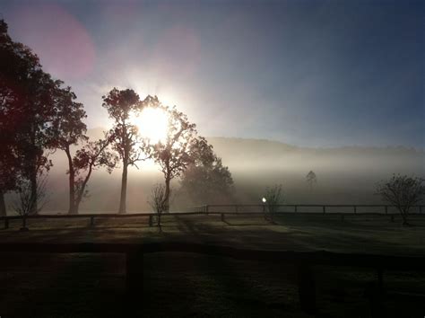 Barrington tops morning. NSW Weekend Trips, Day Trips, Barrington Tops, Sydney, Australia ...