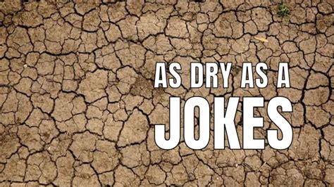 50 Funny As Dry As Jokes And Sayings In 2024