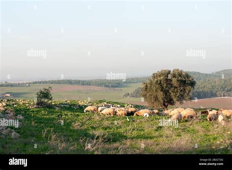 Hiking in Israel tourism activity of nature reserve Stock Photo - Alamy