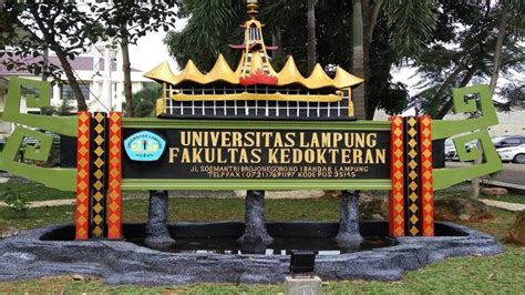 Sekarang Ada PPDS BARU di Universitas Lampung (Unila)! | Jadidokter.com