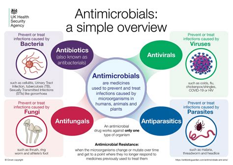 What is antimicrobial resistance and why do we need to take action against it? | LaptrinhX / News