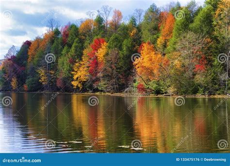 Autumn Colors Along the Shore of Bays Mountain Lake Stock Photo - Image of park, tennessee ...