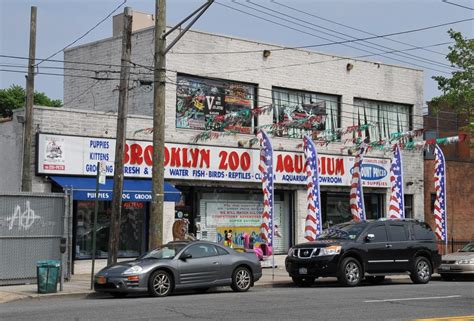 Brooklyn Zoo And Aquarium Ralph Ave - Aquarium Views